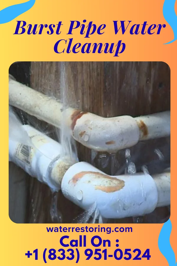 Burst Pipe Water Cleanup in St. Clairsville, PA