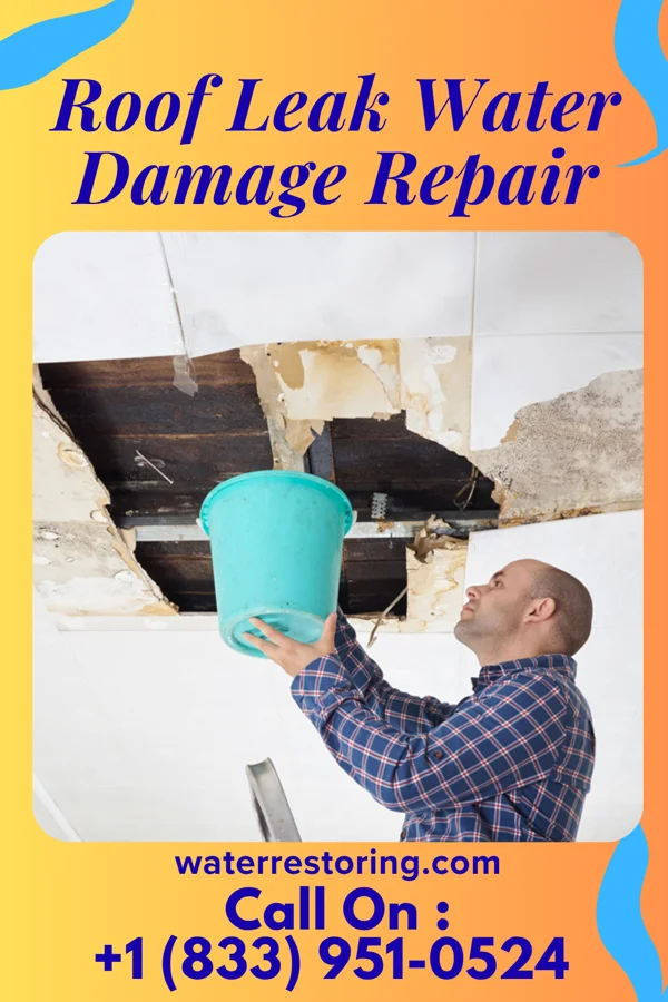 Roof Leak Water Damage Repair in St. Clairsville, PA