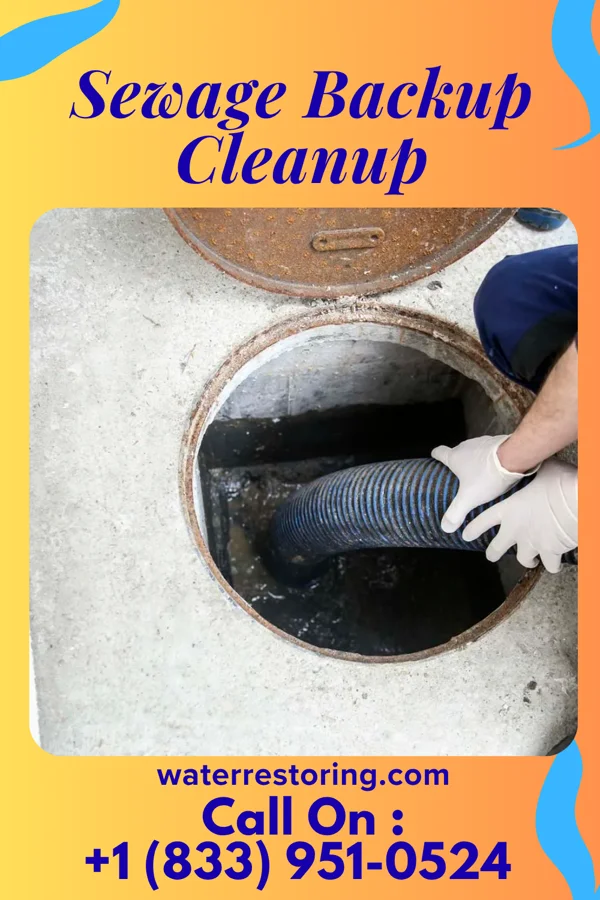 Sewage Backup Cleanup in St. Clairsville, PA