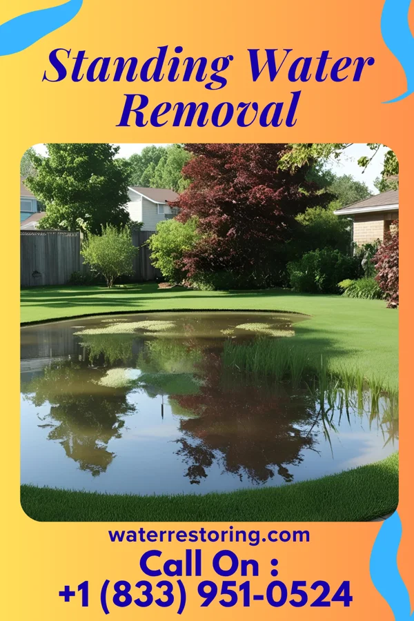 Standing Water Removal in St. Clairsville, PA